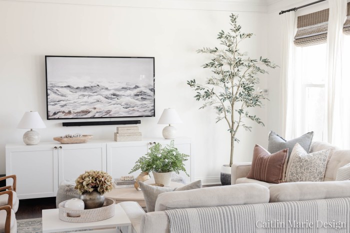 How to decor a tv room