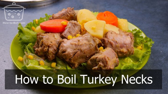 How to cook turkey necks louisiana style